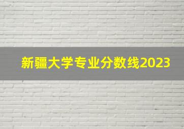 新疆大学专业分数线2023