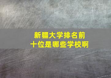 新疆大学排名前十位是哪些学校啊