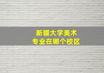 新疆大学美术专业在哪个校区