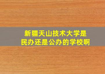 新疆天山技术大学是民办还是公办的学校啊