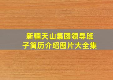 新疆天山集团领导班子简历介绍图片大全集