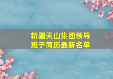 新疆天山集团领导班子简历最新名单