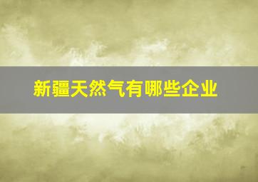 新疆天然气有哪些企业