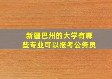 新疆巴州的大学有哪些专业可以报考公务员