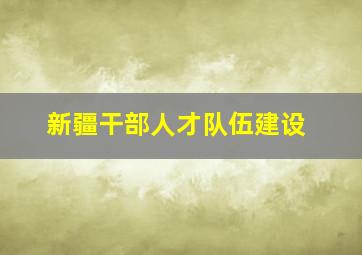 新疆干部人才队伍建设