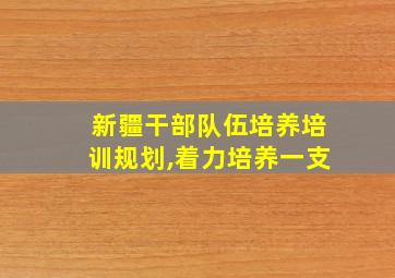 新疆干部队伍培养培训规划,着力培养一支