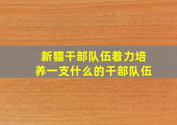 新疆干部队伍着力培养一支什么的干部队伍