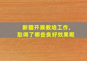 新疆开展教培工作,取得了哪些良好效果呢