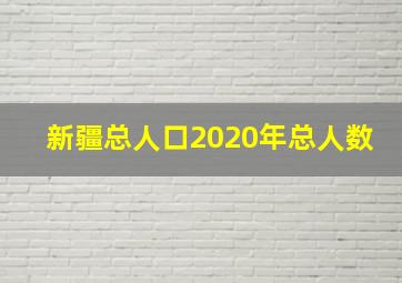 新疆总人口2020年总人数