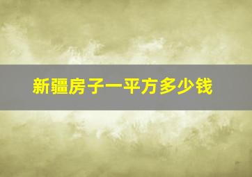 新疆房子一平方多少钱