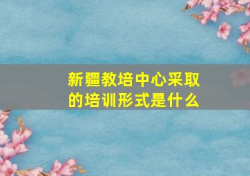 新疆教培中心采取的培训形式是什么