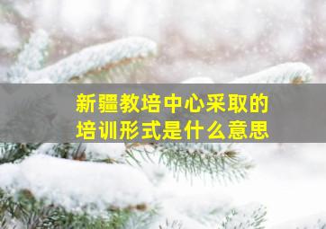 新疆教培中心采取的培训形式是什么意思