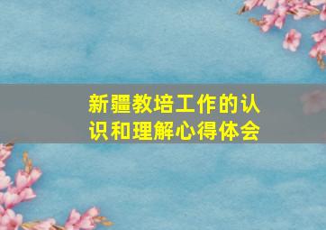 新疆教培工作的认识和理解心得体会