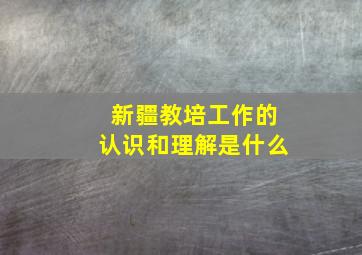 新疆教培工作的认识和理解是什么