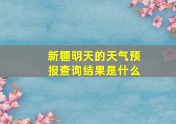 新疆明天的天气预报查询结果是什么