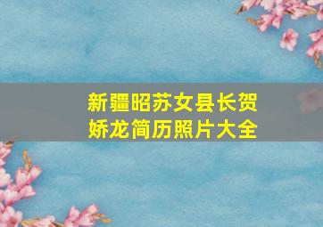 新疆昭苏女县长贺娇龙简历照片大全