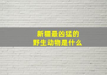 新疆最凶猛的野生动物是什么