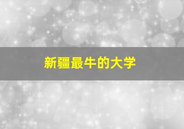 新疆最牛的大学