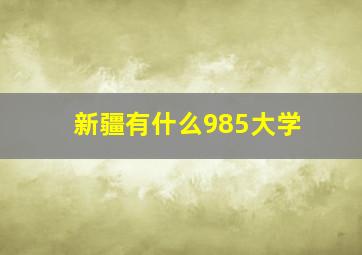 新疆有什么985大学