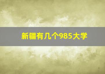 新疆有几个985大学