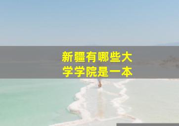 新疆有哪些大学学院是一本