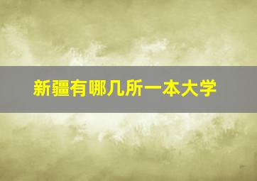 新疆有哪几所一本大学