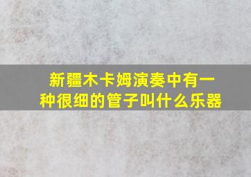 新疆木卡姆演奏中有一种很细的管子叫什么乐器