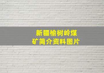 新疆榆树岭煤矿简介资料图片