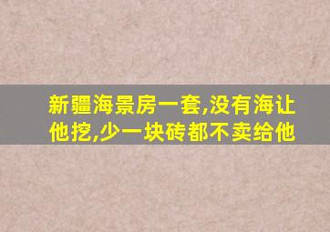 新疆海景房一套,没有海让他挖,少一块砖都不卖给他