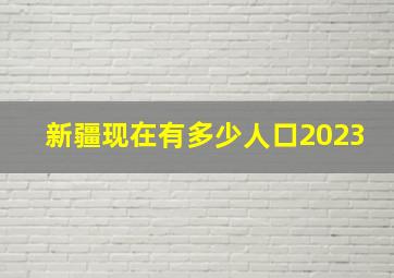 新疆现在有多少人口2023