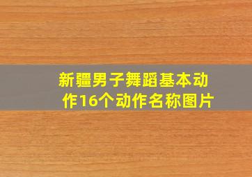 新疆男子舞蹈基本动作16个动作名称图片