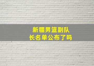 新疆男篮副队长名单公布了吗