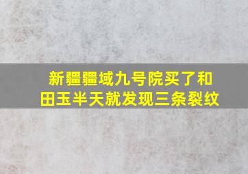 新疆疆域九号院买了和田玉半天就发现三条裂纹