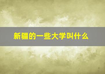 新疆的一些大学叫什么