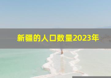 新疆的人口数量2023年