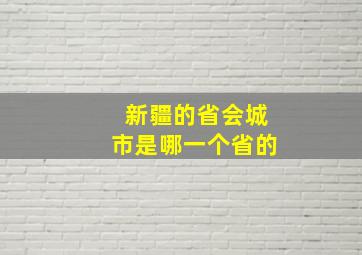 新疆的省会城市是哪一个省的