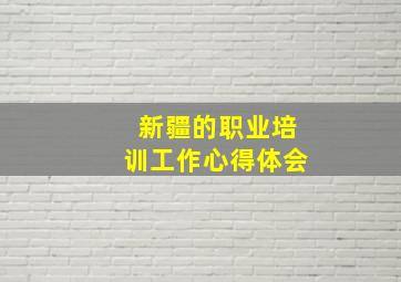 新疆的职业培训工作心得体会