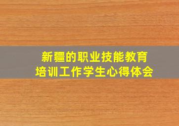 新疆的职业技能教育培训工作学生心得体会