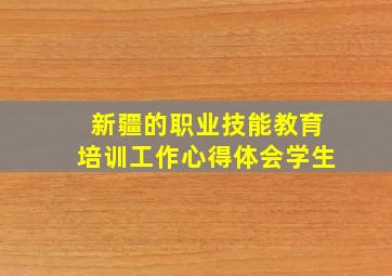 新疆的职业技能教育培训工作心得体会学生