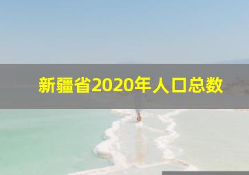 新疆省2020年人口总数