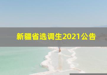 新疆省选调生2021公告