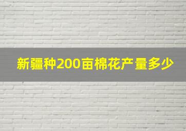 新疆种200亩棉花产量多少