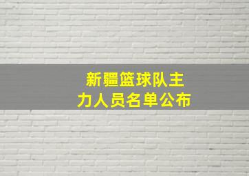 新疆篮球队主力人员名单公布