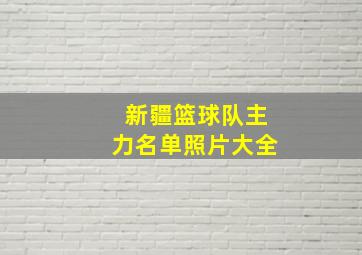 新疆篮球队主力名单照片大全