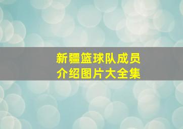 新疆篮球队成员介绍图片大全集