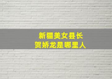 新疆美女县长贺娇龙是哪里人