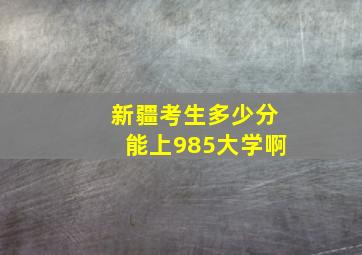 新疆考生多少分能上985大学啊