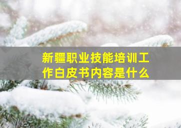 新疆职业技能培训工作白皮书内容是什么