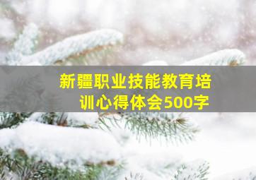 新疆职业技能教育培训心得体会500字