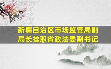 新疆自治区市场监管局副局长挂职省政法委副书记